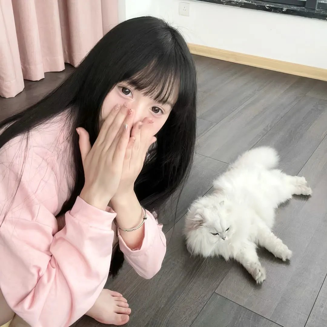 女子当参政